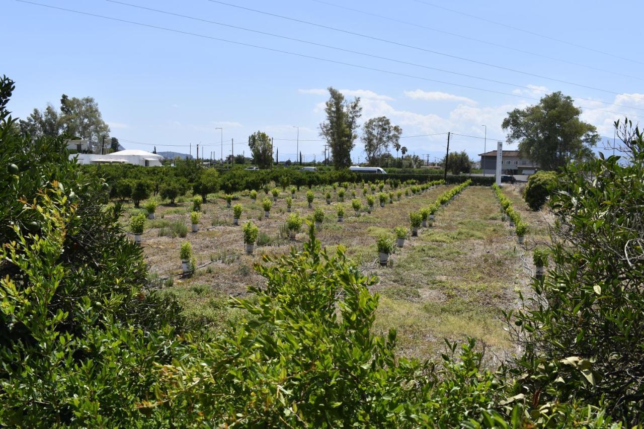 To Spitaki Dalamanara ภายนอก รูปภาพ